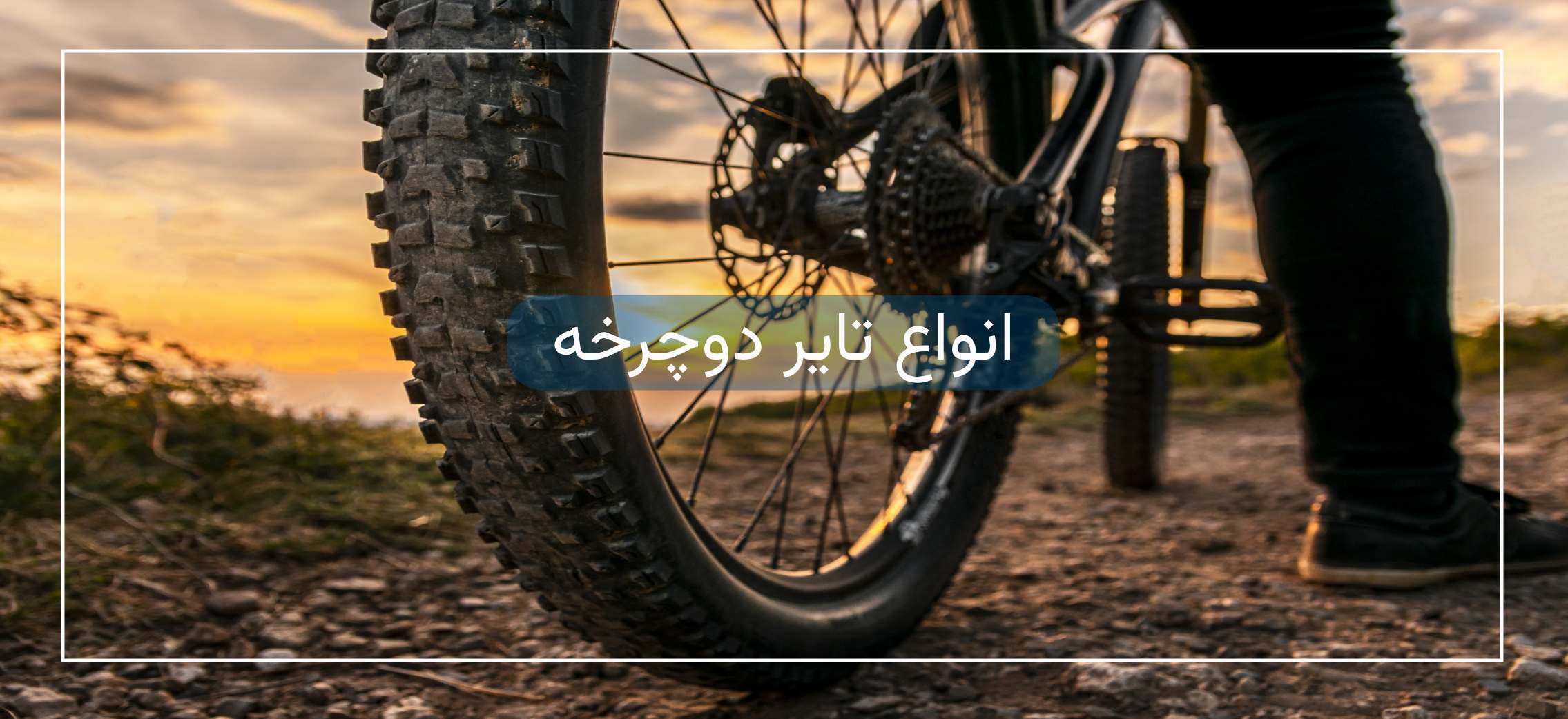 انواع تایر موتور